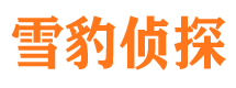 清河市婚姻出轨调查